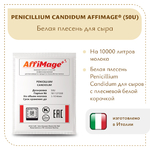 Белая плесень Penicillium Candidum AFFIMAGE® (50U)