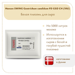 Плесень Hansen SWING G. Candidum FD GEO CH (10U)