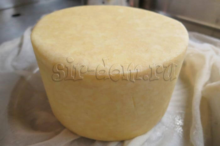 гладкая сырная головка - рецепт пивного сыра